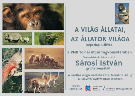 A világ állatai, az állatok világa - képeslap kiállítás nyílik Sárosi István gyűjteményéből